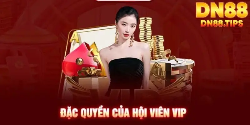 Các chương trình khuyến mãi
